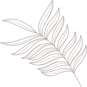 Leaf shape